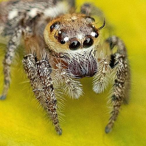 Photo #10553281