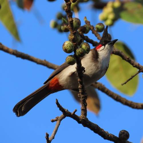 Photo #10553318