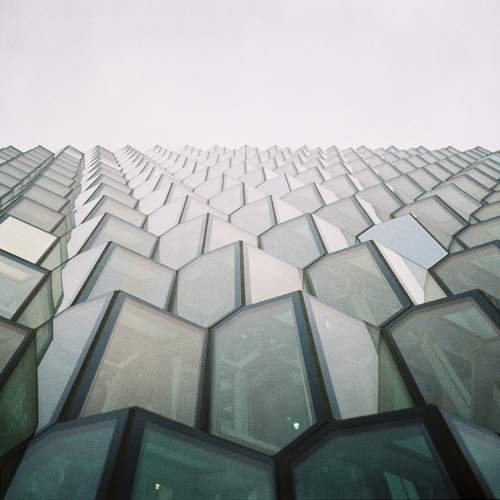 Photo #10553412