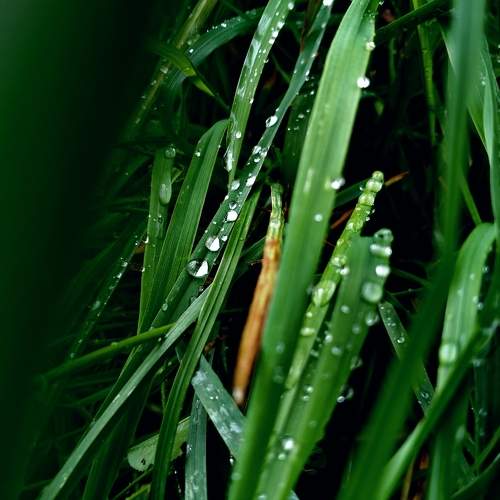 Photo #10553429