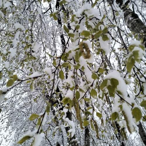 Photo #10553441