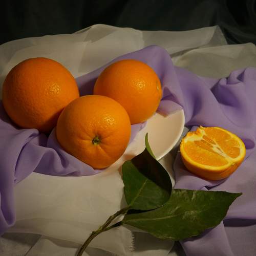 Photo #10553584
