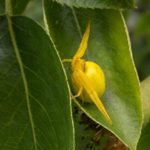 Photo #10553802