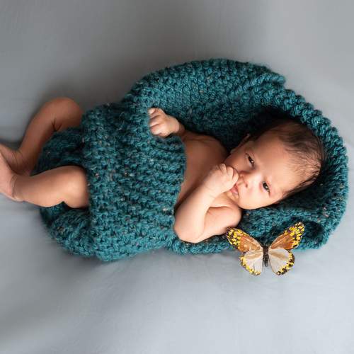 Photo #10553970