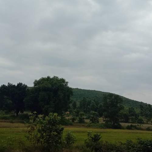 Photo #10554362