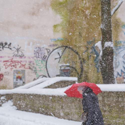 Photo #10554719