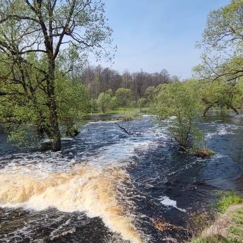 Photo #10554844