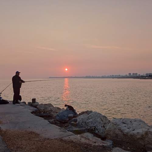 Photo #10555140