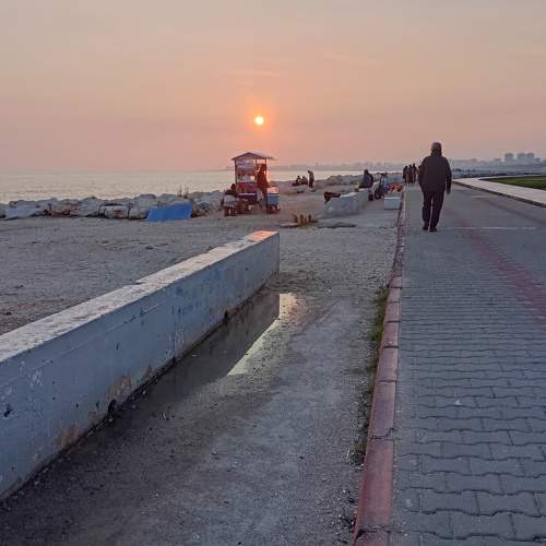 Photo #10555142