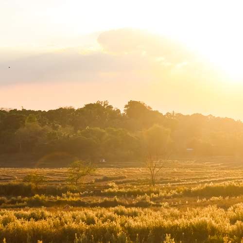 Photo #10555235