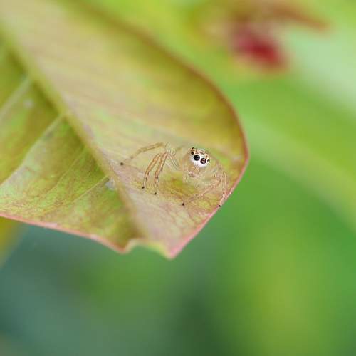 Photo #10555592