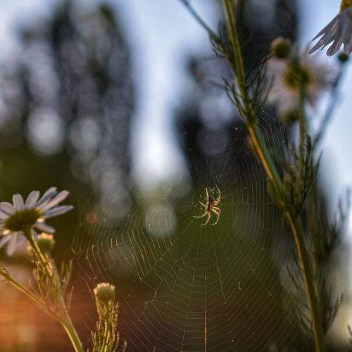 Photo #10555967