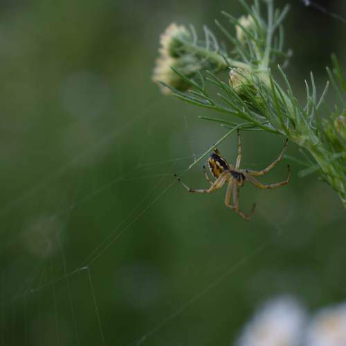 Photo #10555968