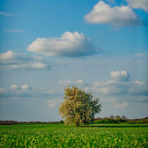 Photo #10556626