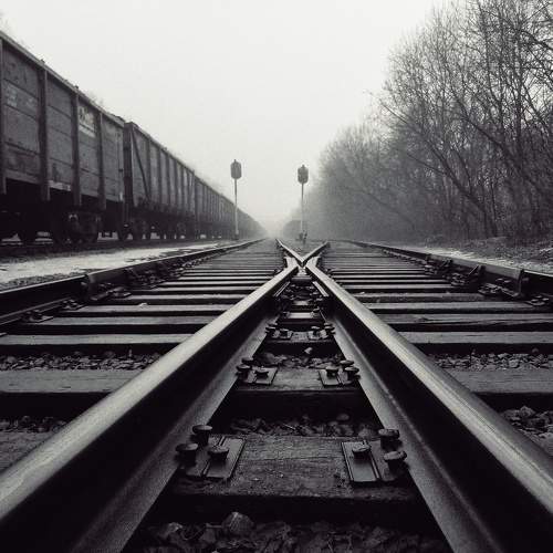 Photo #10557333