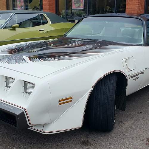 Photo #10557641