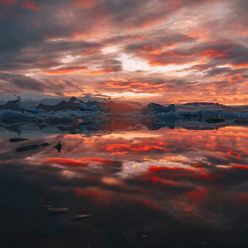 Photo #10557685
