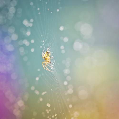 Photo #10557765