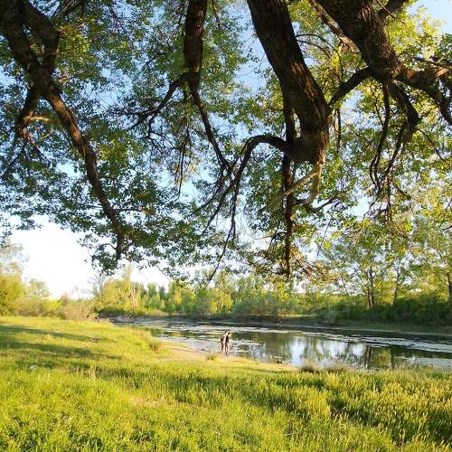 Photo #10557890