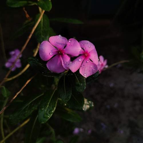 Photo #10558324