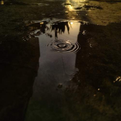 Photo #10558325