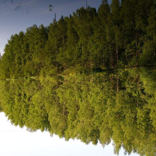 Photo #10558929