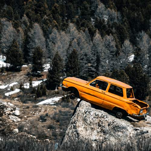 Photo #10558930