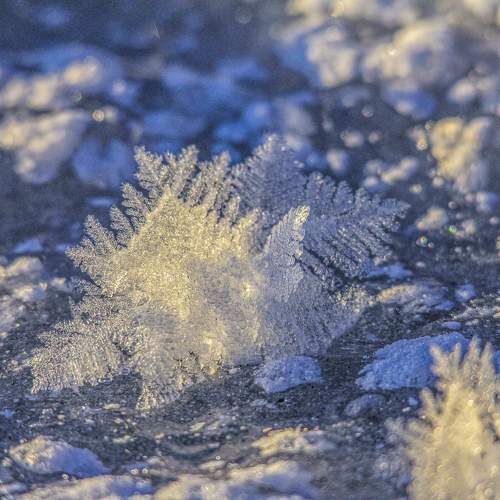 Photo #10559165