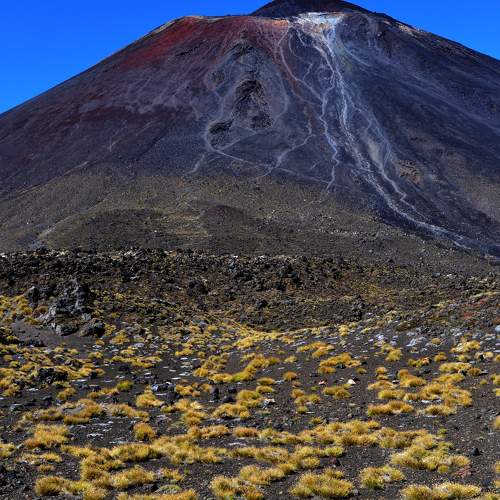 Photo #10559364