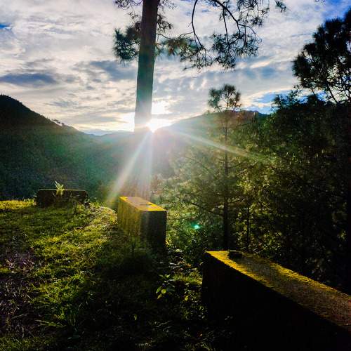 Photo #10559533