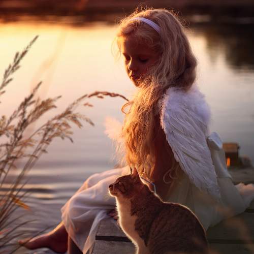 Photo #10559636