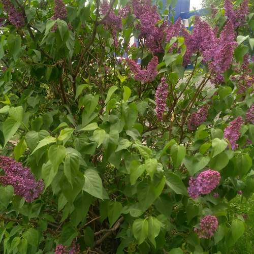 Photo #10559697