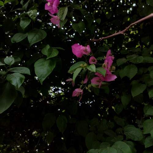 Photo #10559858