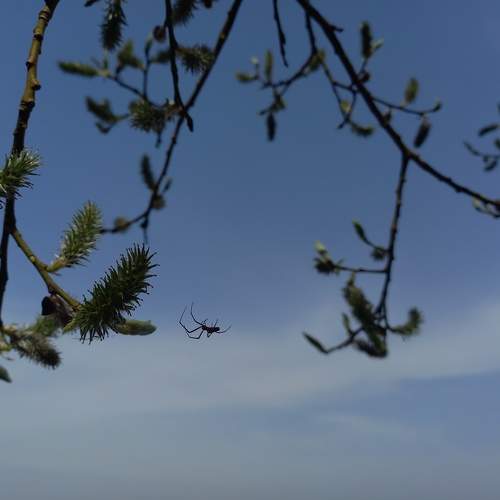 Photo #10559957