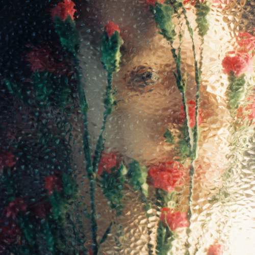 Photo #10559965