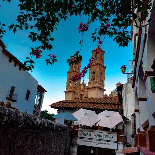 Photo #10560383