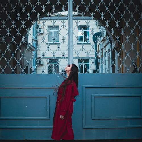 Photo #10560502