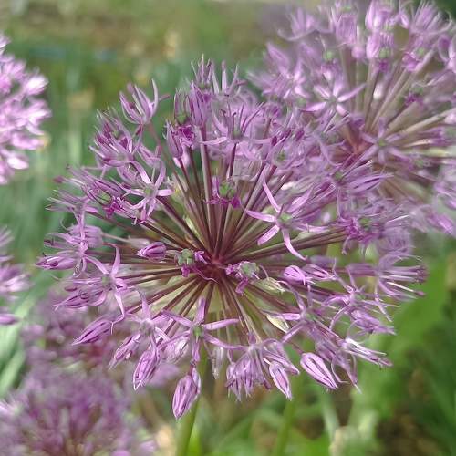 Photo #10560908