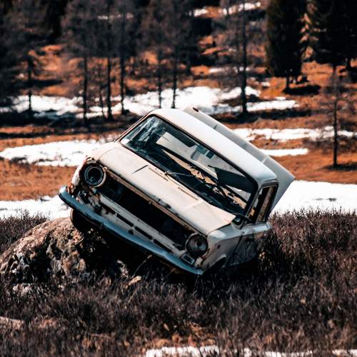 Photo #10560998