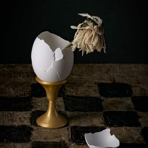 Выеденное яйцо/Eaten egg