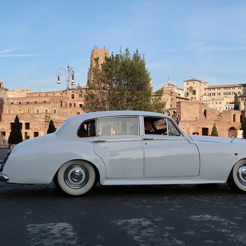 Photo #10561079