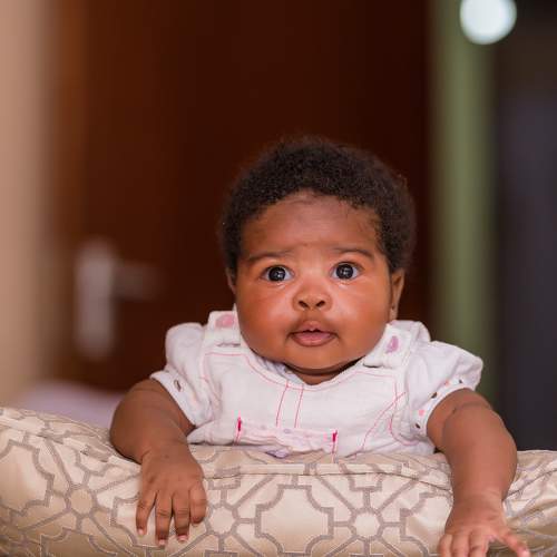Photo #10561158