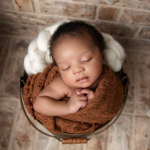 Photo #10562431