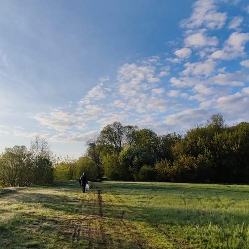 Photo #10562524