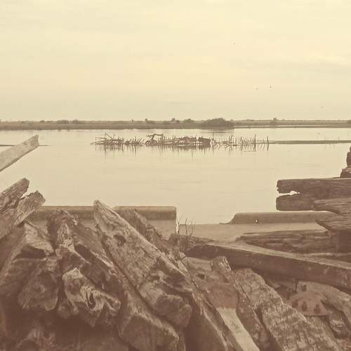 Photo #10562688