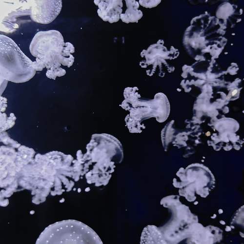 Фотография #10562778