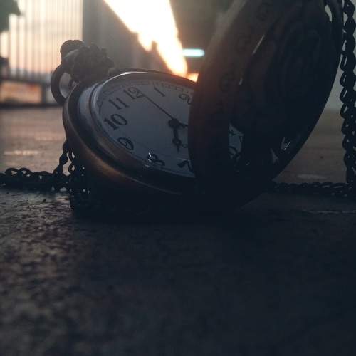 Photo #10563097