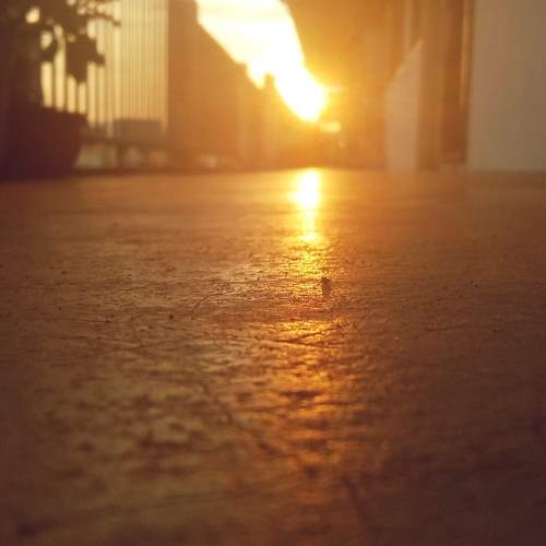 Photo #10563105