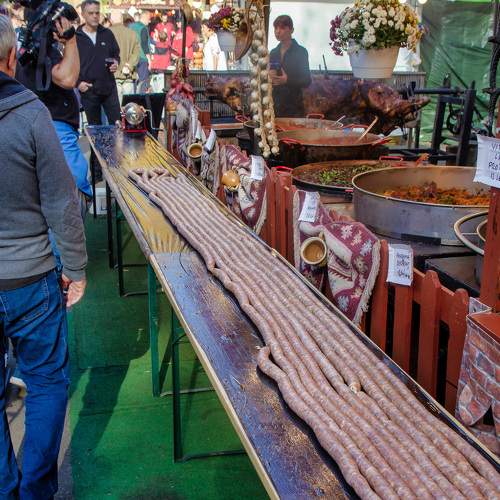 Photo #10564003