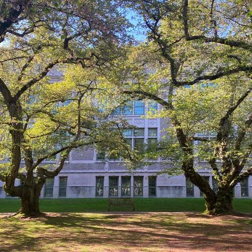 Photo #10565323